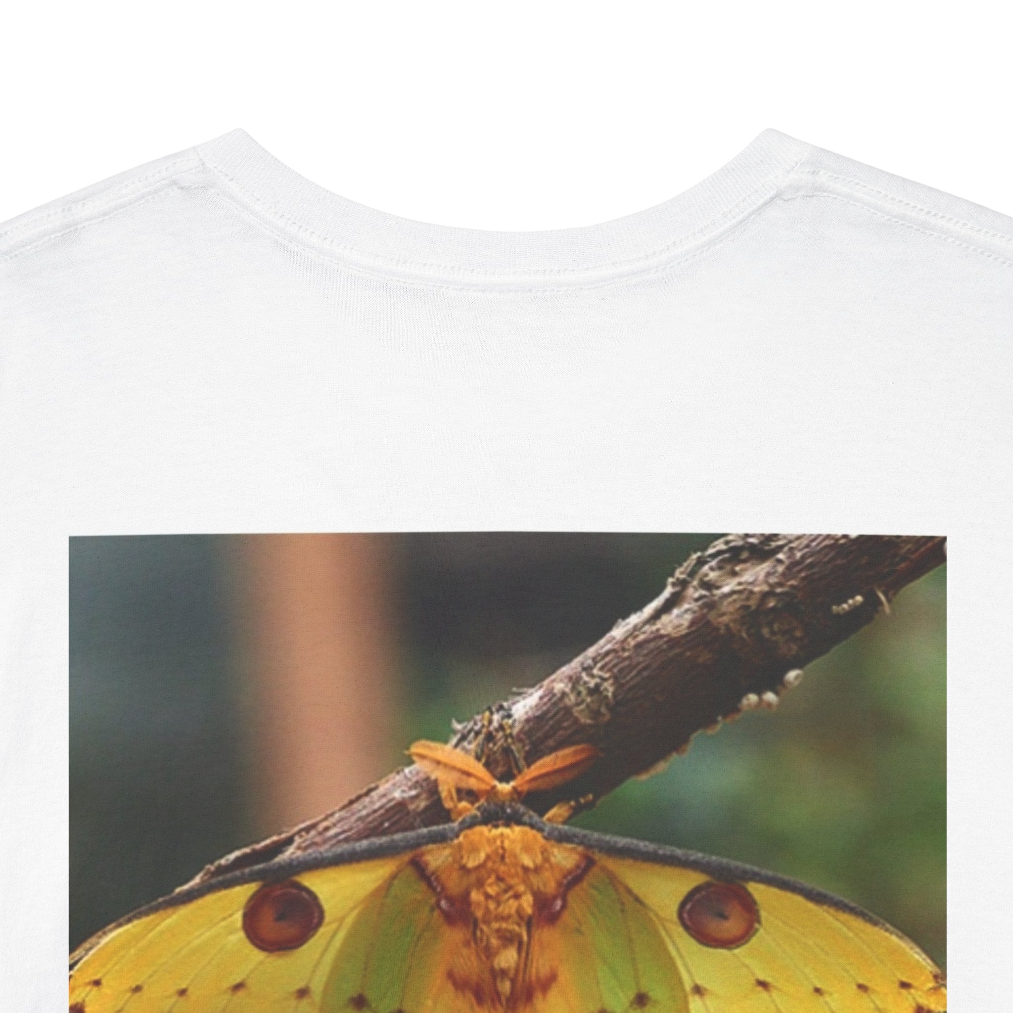 Butterfly Nature T-Shirt — Bright Colorful Gift for Nature Lovers