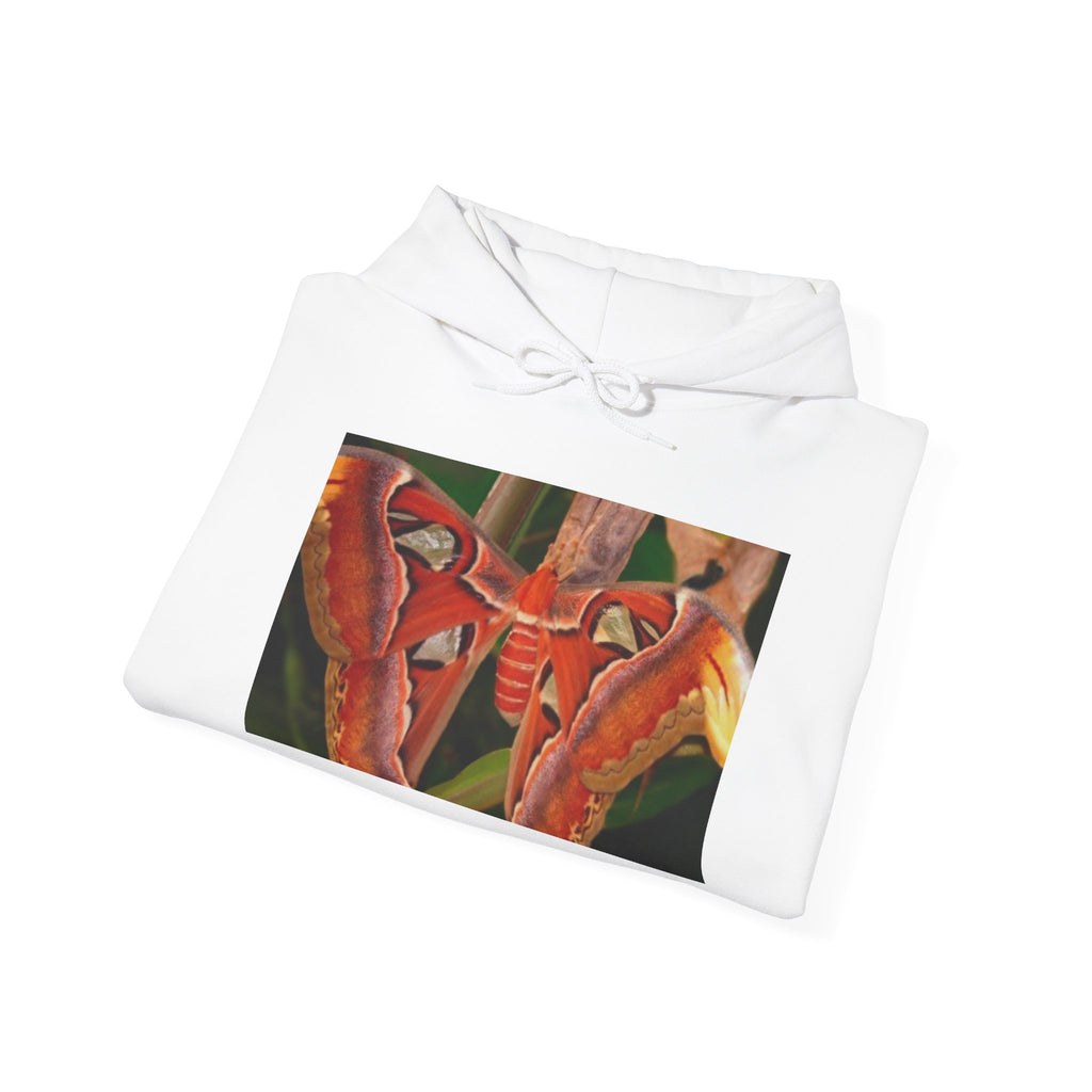 HOODIE NATURE WWF Orchid Photo Hoodie — Tropical Red Orchid Conservation Sweatshirt